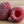 KoRo Freeze-Dried Raspberries 350g — macro detail