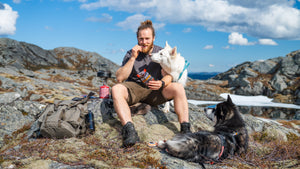 Jack Link's Beef Jerky Mix 12 x 60g