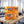 BiFi Starter Pack on a gym bench, with dumbbells, a towel and a water bottle in the background, AI-generated image