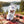 Fine Gusto Beef Jerky Teriyaki on a checked picnic blanket by a forest lake on a summer day, with a steel cup and sunglasses, AI-generated image