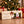 Fine Gusto Jerky Advent Calendar next to wrapped presents under the Christmas tree, AI-generated image