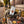 Fine Gusto Turkey Jerky Natural sticking out of a backpack on a park bench in autumn, with a water bottle and headphones, AI-generated image