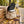Franky's Best Beef Jerky Classic sticking out of a backpack on a park bench in autumn, with a water bottle and headphones, AI-generated image