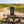 Franky's Best Beef Jerky Truffle on a bench by a gravel road through vineyards, with a bike and a cycling helmet, AI-generated image