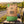 Grizzly Foods Beef Jerky Garden Greens on a bench by a gravel road through vineyards, with a bike and a cycling helmet, AI-generated image