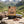 Grizzly Foods Vegan Jerky Cracked Pepper on a rock beside a mountain trail in the Alps, with a backpack and thermos, AI-generated image