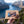 Hand holding Indiana Cut Your Own Biltong Box in front of a fjord landscape, AI-generated image