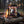 Indiana Jerky Beef Peppered on a log by a campfire in a pine forest at dusk, with an enamel mug and a wooden cup, AI-generated image
