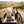 KJØ Goddamn Spicy Beef Jerky on a bench by a gravel road through vineyards, with a bike and a cycling helmet, AI-generated image
