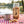 KoRo Apple Chips Elstar on a checked picnic blanket by a lake on a summer day, with a steel cup and sunglasses, AI-generated image