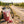 KoRo Freeze-Dried Raspberries on a bench by a gravel road through vineyards, with a bike and a cycling helmet, AI-generated image