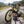 Kuivalihakundi Beef Jerky Scorpion on a bench by a gravel road, with a bike and a cycling helmet, AI-generated image