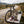 Renjer Elk Jerky Sea Salt on a bench by a gravel road, with a bike and a cycling helmet, AI-generated image
