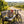Renjer Tasting 5-pack on a bench by a gravel road through vineyards, with a bike and a cycling helmet, AI-generated image